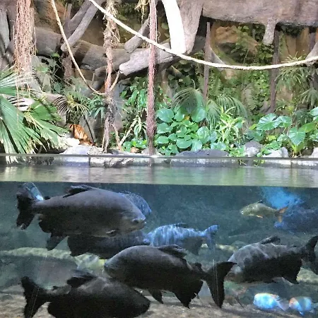 Perla's House With Incredible Sea View Apartman Puerto de la Cruz