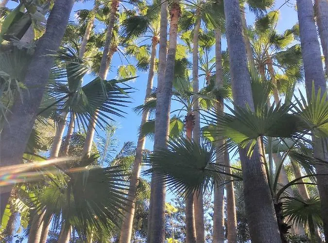 Apartment Perla's House With Incredible Sea View